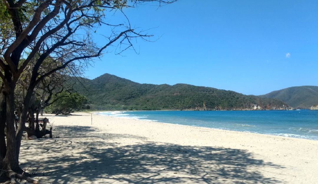Licitación parque Tayrona: En septiembre Parques Nacionales abrirá licitación para operar el Tayrona