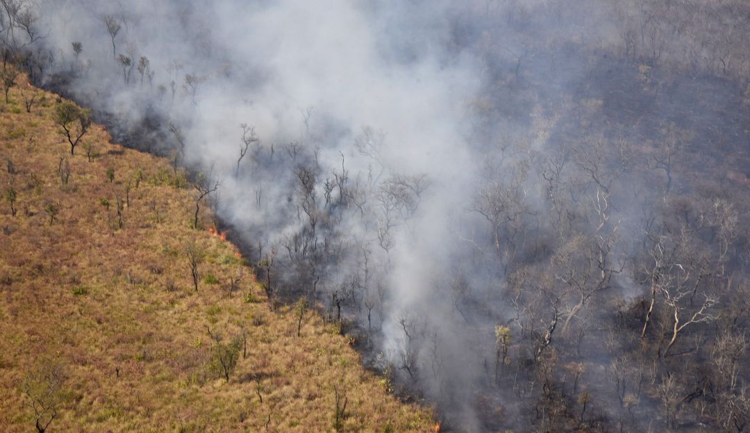Incendios forestales Amazonas: Brasil prohíbe quemas, ONU piensa en una cumbre mundial sobre la Amazonía