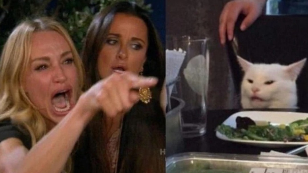 El meme con el que Netflix rompió las ilusiones de los fans de Harry Potter