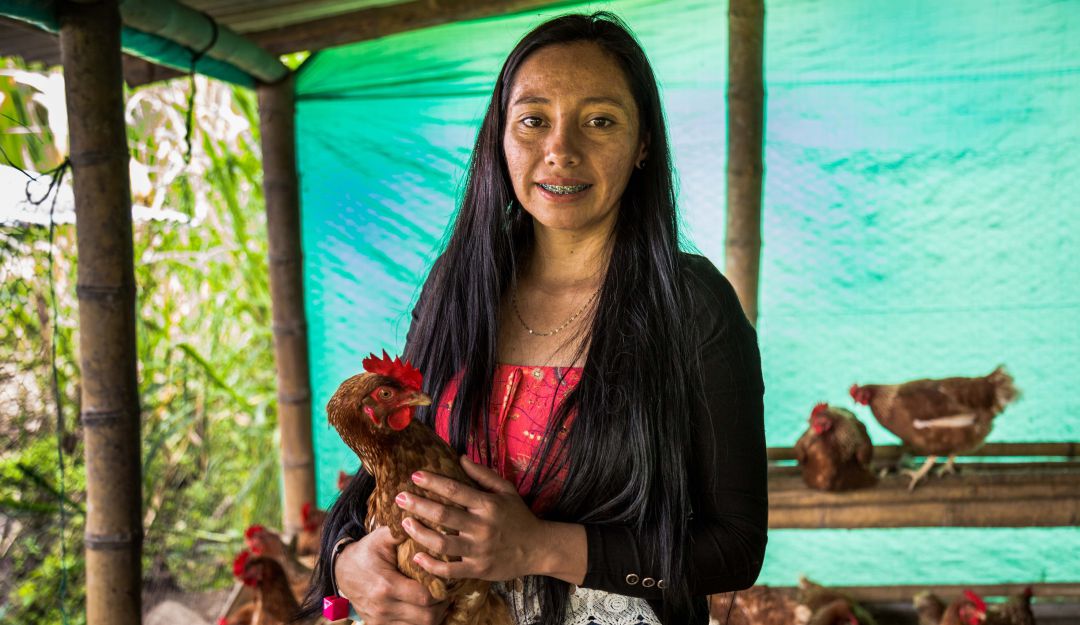 Sirley Luna, del municipio de Sucre, Cauca. Proyecto de gallinas ponedoras