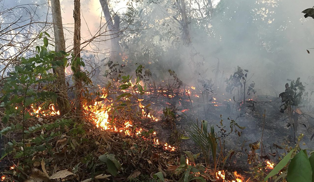 Incendio en Amazonía de Brasil