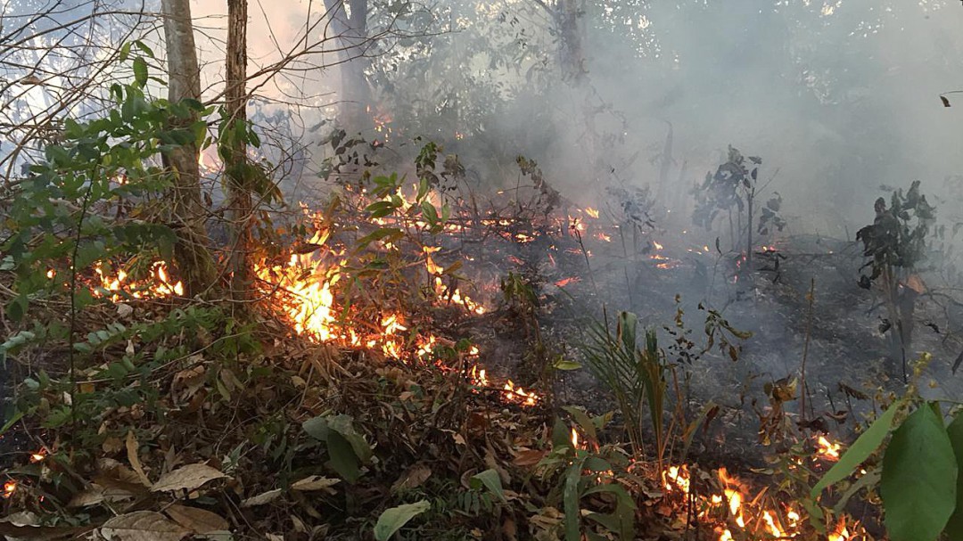 Incendios en Amazonía alterarán el régimen de lluvias