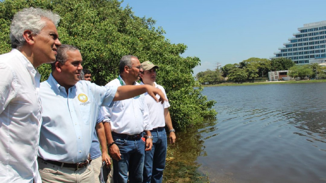 Instalan aireadores para frenar mortandad de peces en Cartagena