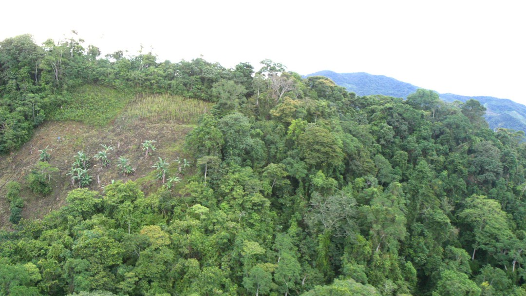 Nueva movilización por los bosques secos del Chicamocha