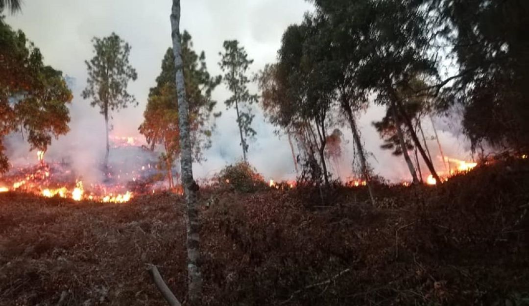 BUCARAMANGA INCENDIO SANTANDER CHARTA CALOR BOMBEROS: Voraz incendio en Santander amenaza bosque nativo