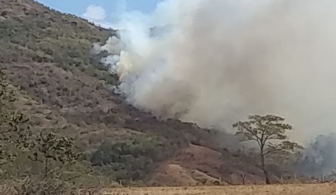 Incendios forestales: Bomberos de Natagaima, Tolima enfermos por incendios