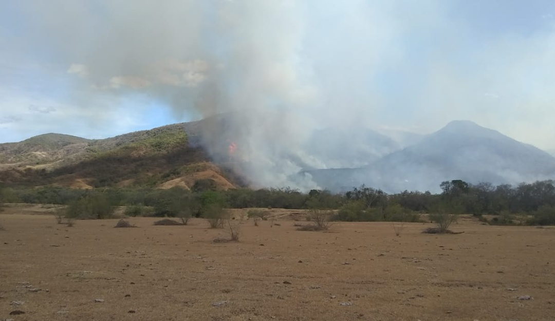 Incendios en Colombia: Carmen de Apicalá una de las regiones más afectadas por incendios