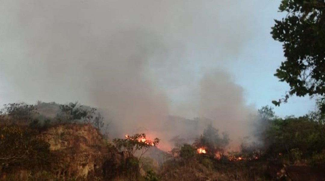 Lecheros afectados por temporada seca en Tolima
