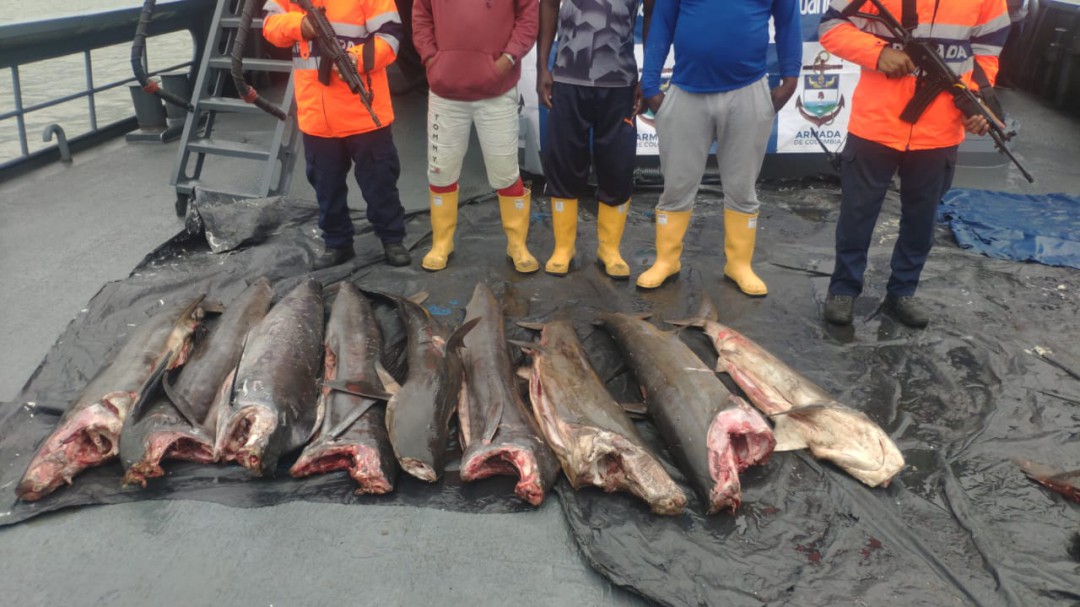 Volvieron los pescadores ilegales al Pacífico Vallecaucano