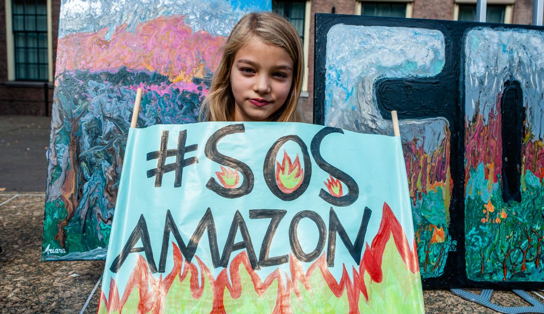 Compromiso por la deforestación en Colombia: #JuicioALaDeforestación: Gobierno explicará las acciones que ha realizado