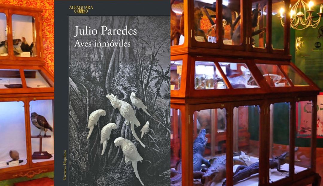 “Aves inmóviles”, una novela de misterio sobre la taxidermia y la vida