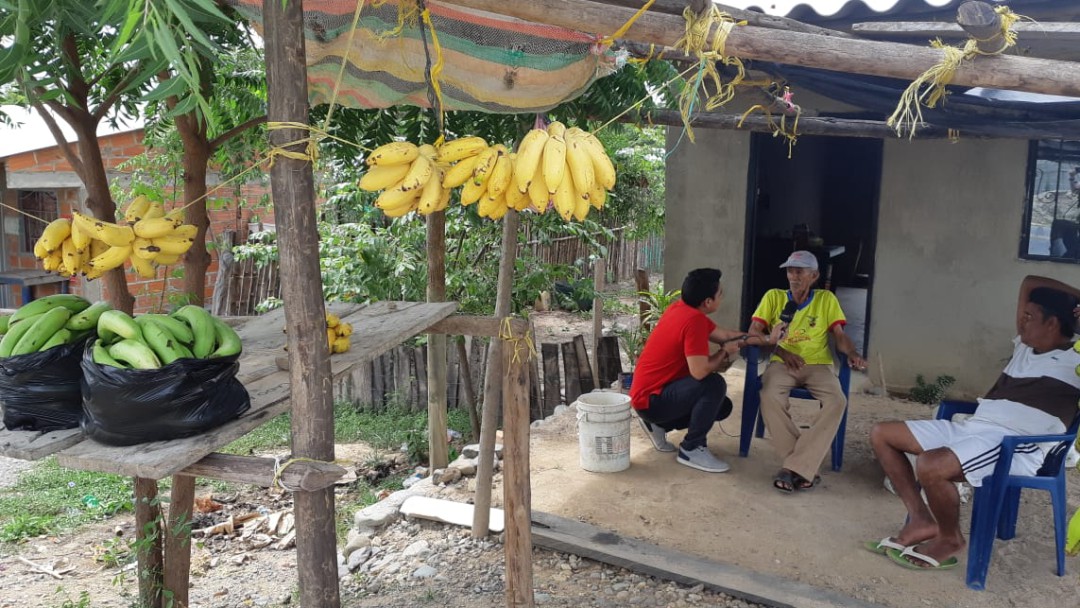 Expectativa en La Guajira por control de hongo que ataca cultivos de banano