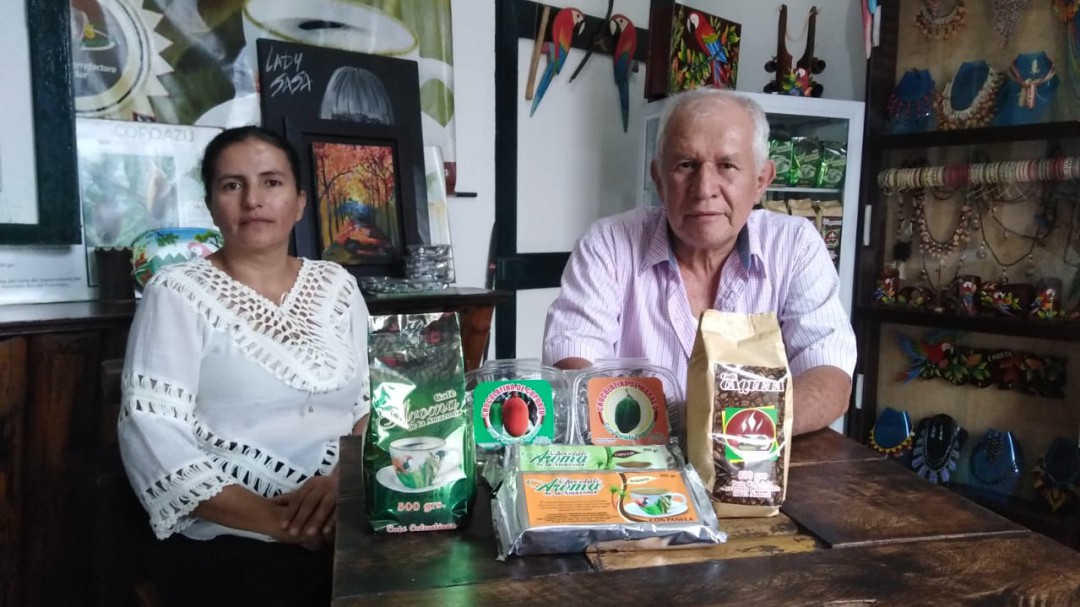 Cultivos de cacao amazónico, una apuesta en el Caquetá