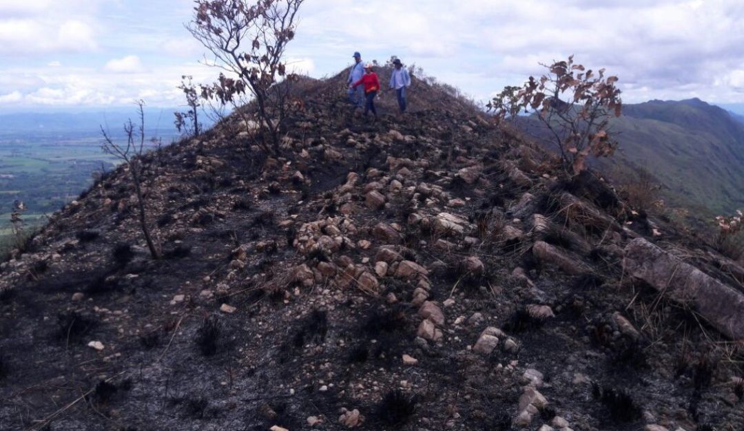 Cerro afectado por incendio forestal