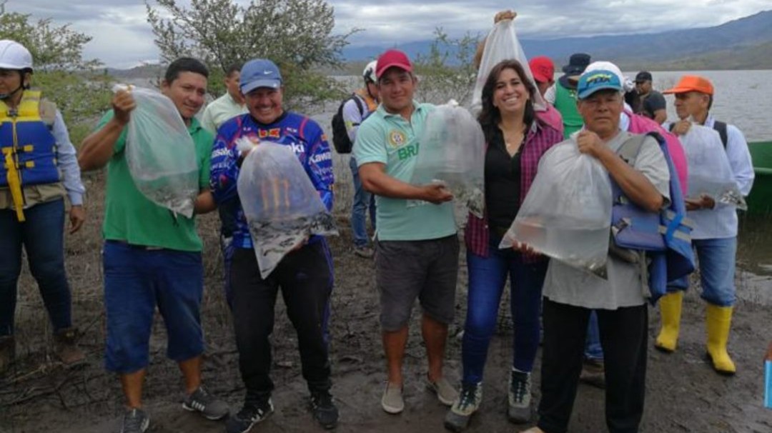 Impulsan la siembra experimental de peces en el Huila