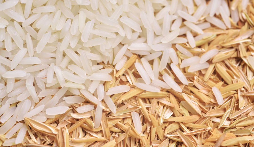 mercados corabastos: Septiembre se inició con buena oferta de arroz y con limones caros