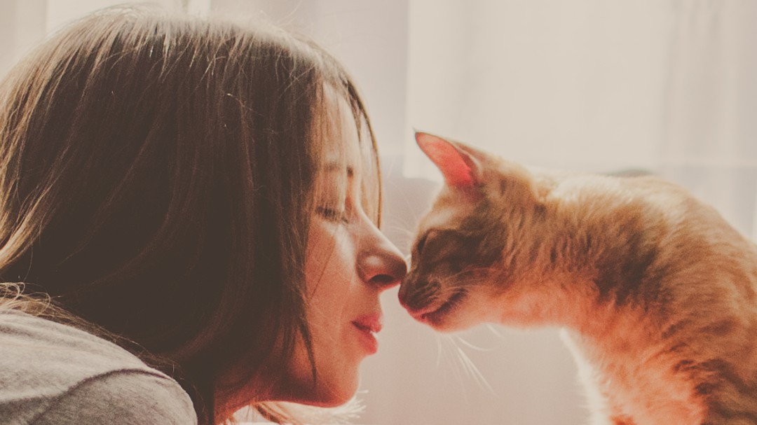 ¿Cuál es la misión espiritual de las mascotas en nuestra vida?