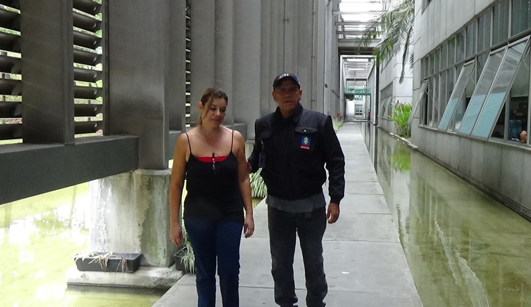 Mujer estafaba con seguros de vehículos: Encarcelan a mujer investigada por estafa superior a $160 millones