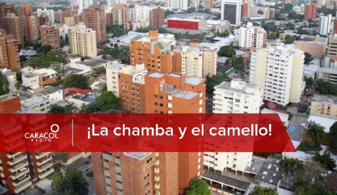 ¡Chamba y camello!