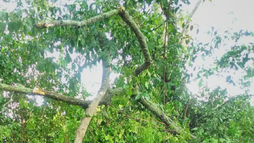 Vendaval provocó destrozos en Arjona, Bolívar
