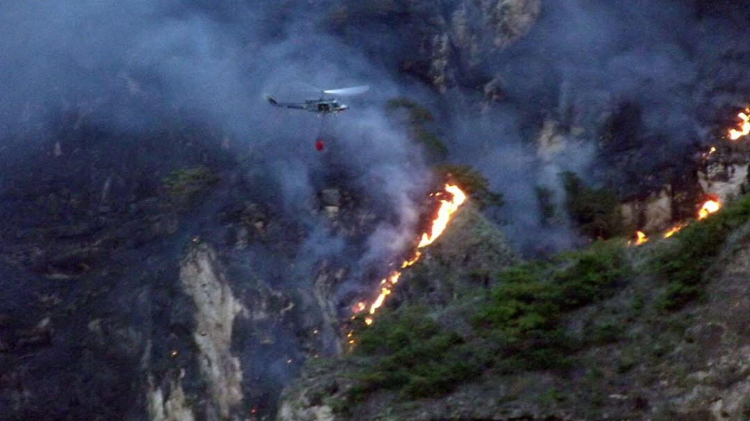 Incendios forestales siguen consumiendo vegetación en el Tolima