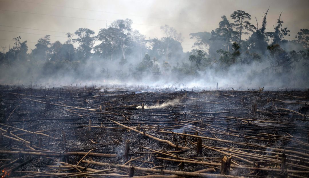 Incendio Amazonia: Canciller de Brasil acusa al "climatismo" de buscar restringir la soberanía