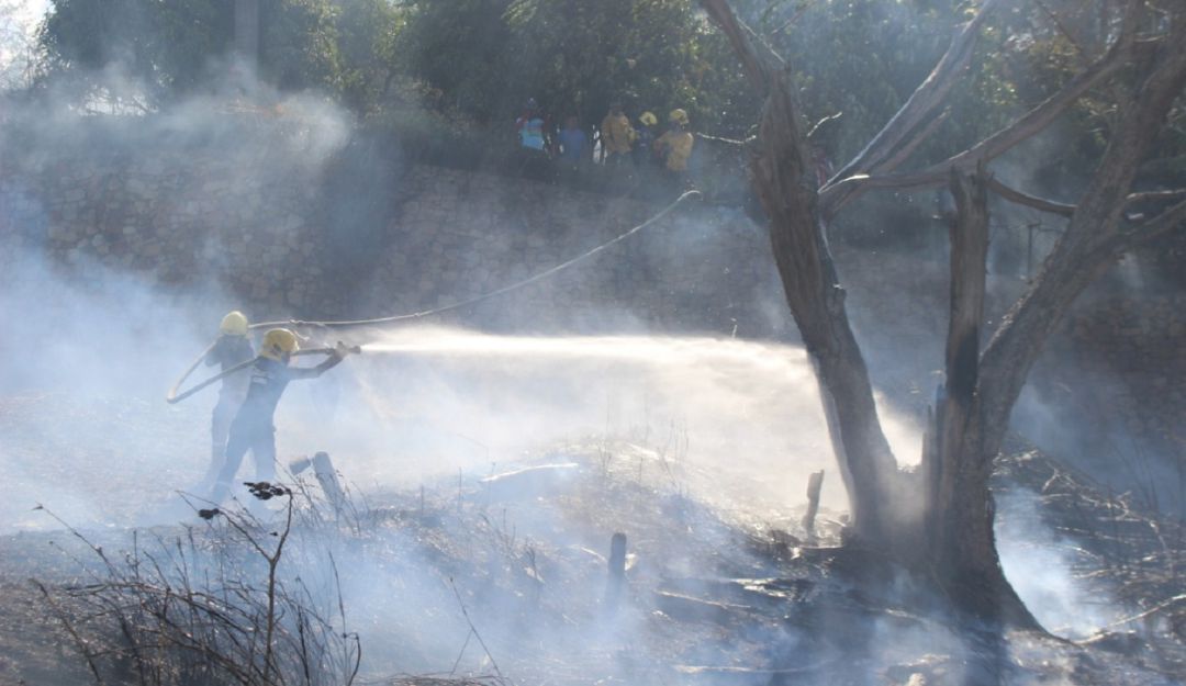 Fiscalía investiga más de 200 incendios forestales en Cali: Fiscalía investiga más de 200 incendios forestales en Cali