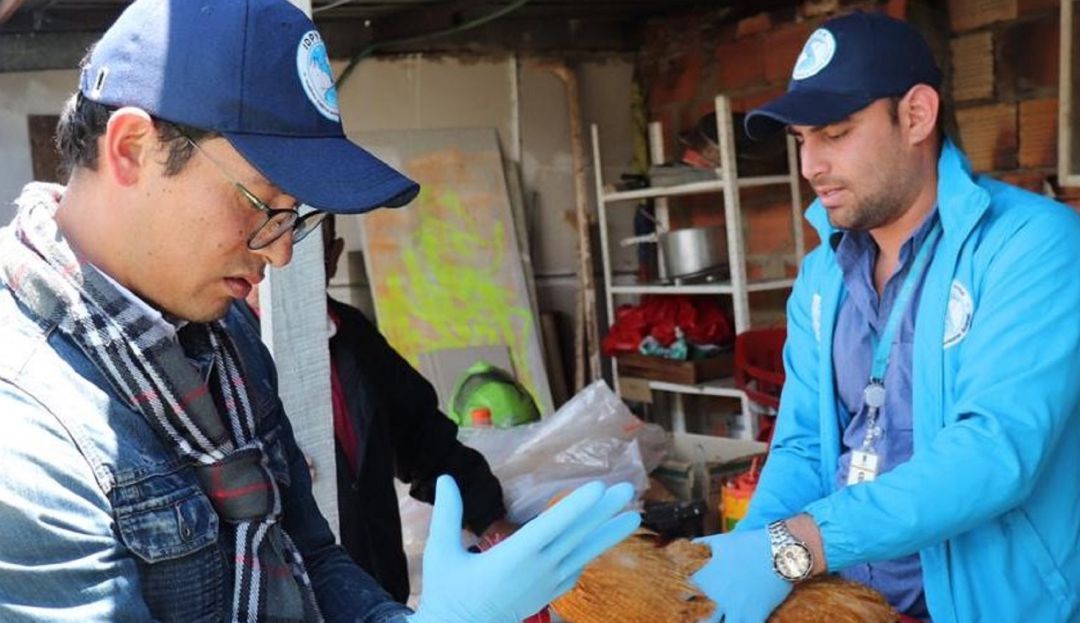 Abuso sexual de gallinas: ¡Aberrante! rescatan gallinas abusadas por un hombre en Bogotá
