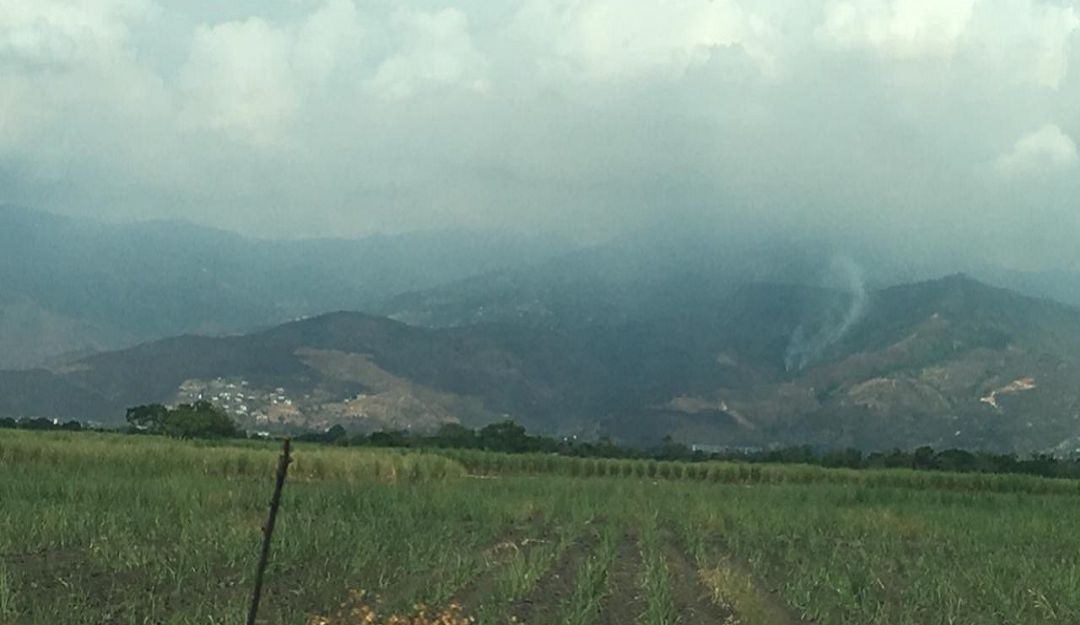 Así se ve Dapa, luego del incendio que afectara sus cerros durante varios días