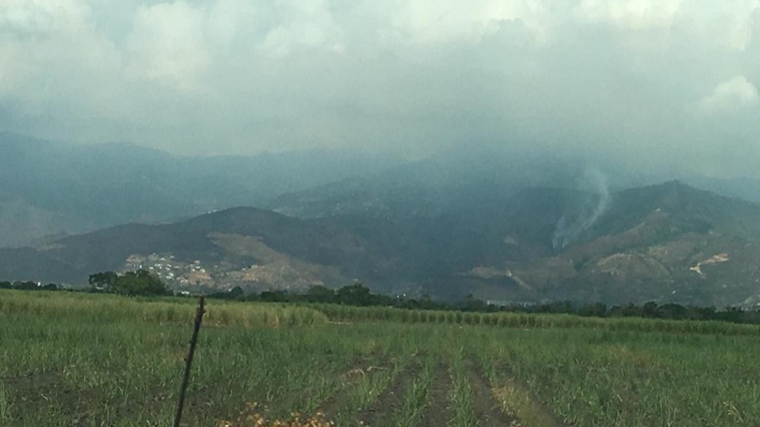 A reforestar nuestros cerros, es el llamado de autoridades ambientales