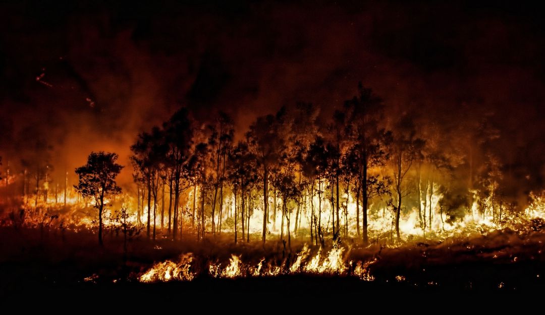 Incendios forestales en Colombia: En un 16% aumentaron los incendios forestales en el país