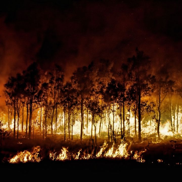 En un 16% aumentaron los incendios forestales en el país