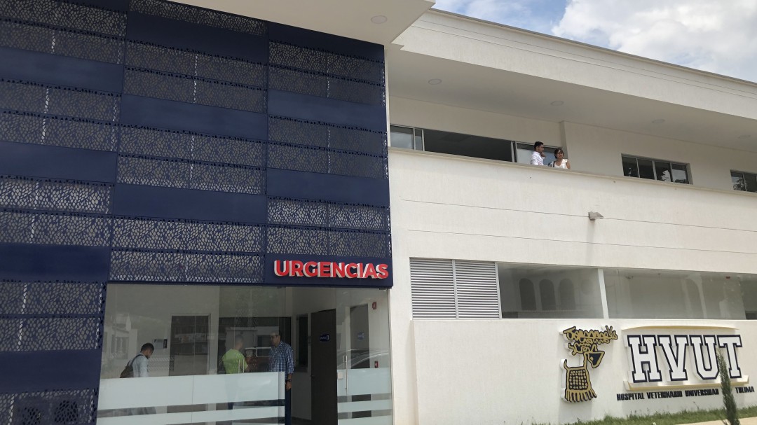 Hospital veterinario de la Universidad del Tolima abrirá sus puertas