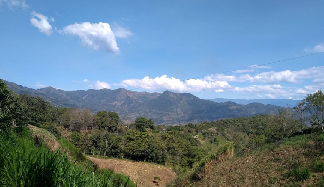 Agricultura de Caldas