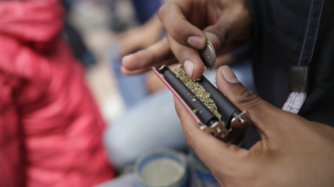 Radican proyecto para regular el uso de la marihuana recreativa