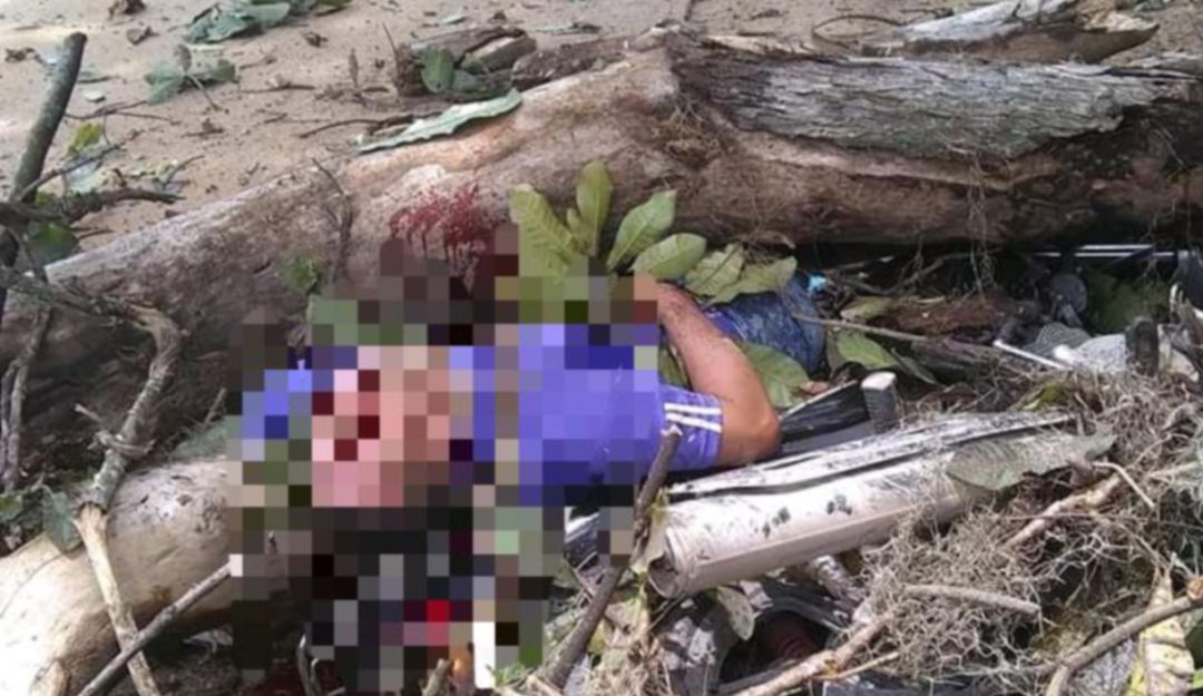 BUCARAMANGA MOTOCICLISTAS RAMA ÁRBOL ZAPATOCA ACCIDENTES TRÁNSITO: Motociclista murió tras caerle un árbol