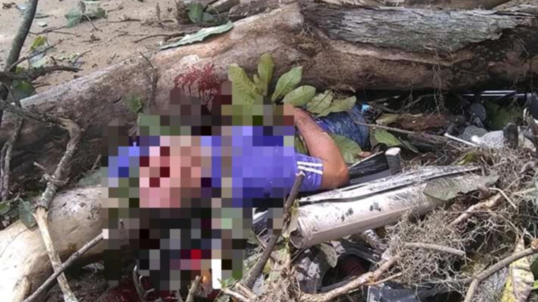 Motociclista murió tras caerle un árbol
