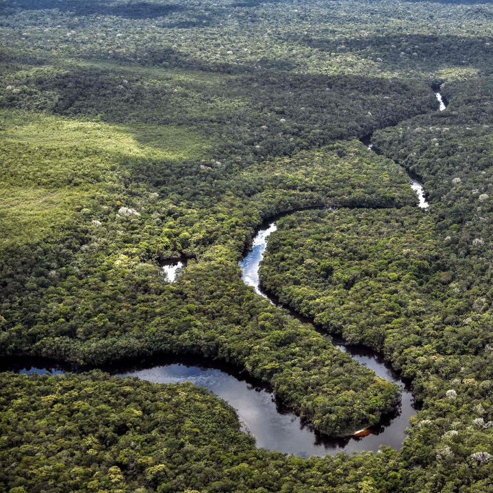 Así está el Amazonas de Colombia