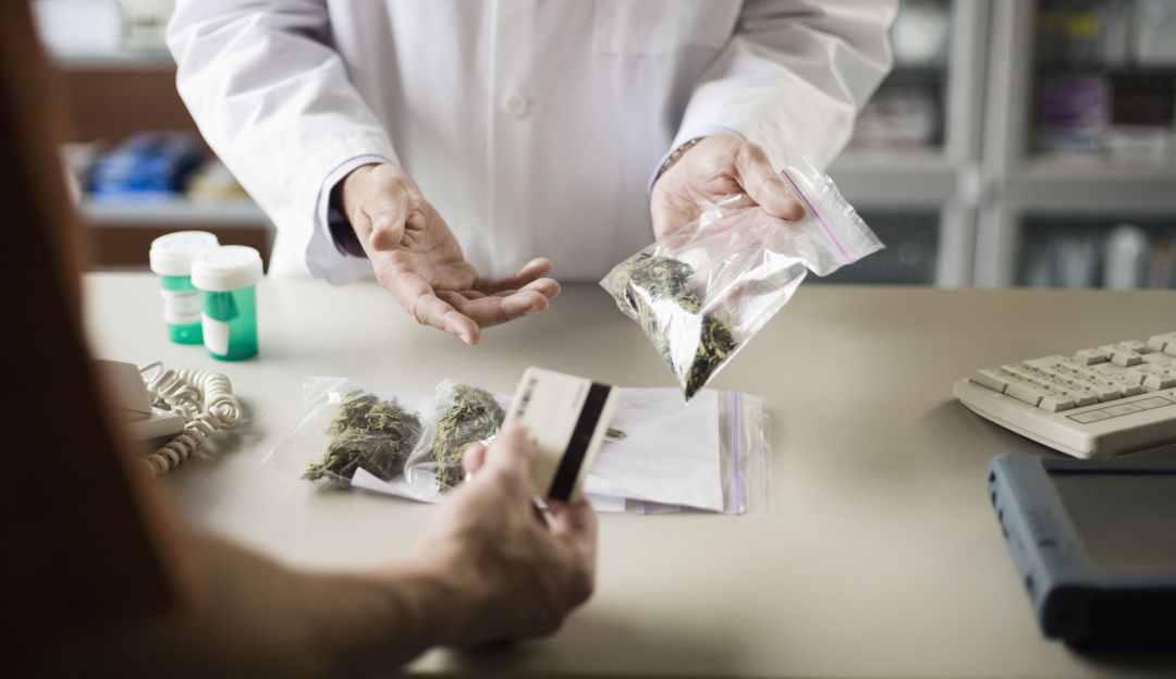 Cannabis medicinal en Colombia: Gobierno anuncia aumento de cupo para cannabis medicinal