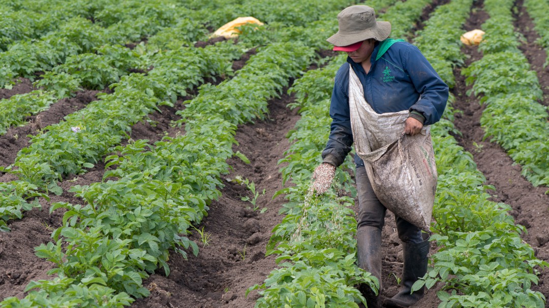 Cosechas más sostenibles, el propósito de Corteva en Colombia
