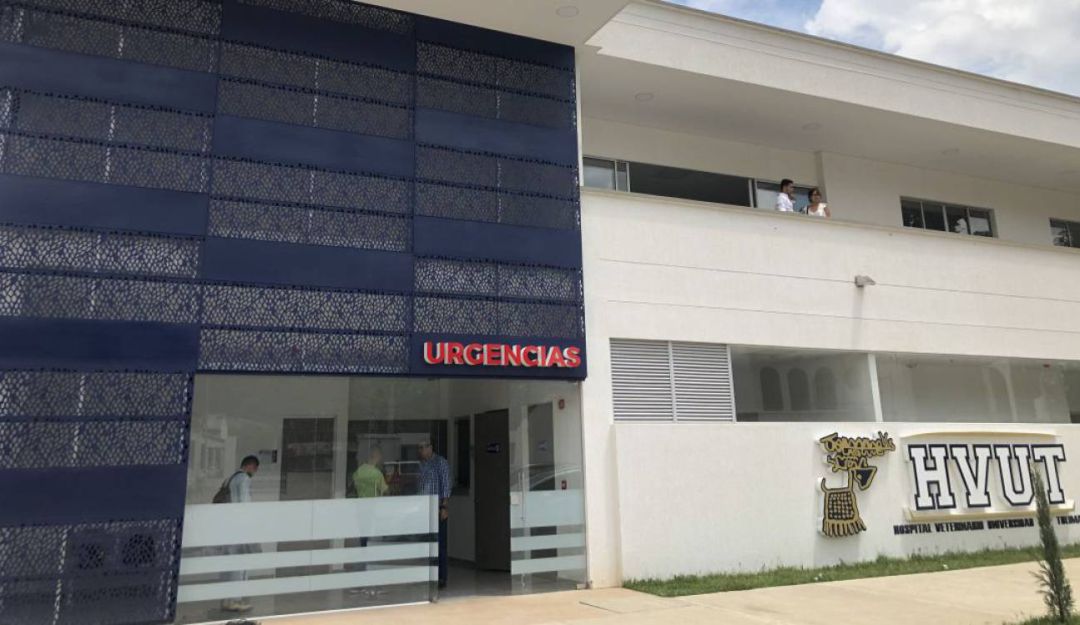 Animales Ibagué: Esta semana abre sus puertas hospital veterinario de la U del Tolima