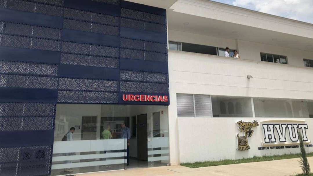 Esta semana abre sus puertas hospital veterinario de la U del Tolima