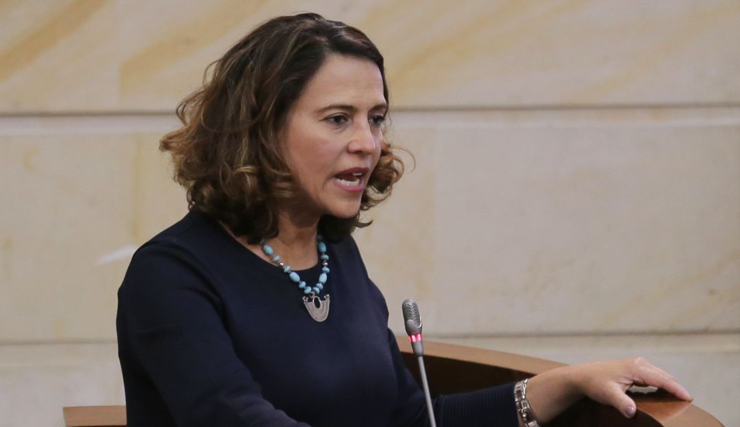 Detenidos durante paro nacional: MinInterior: “No puede ser que vándalos atenten contra la movilidad”