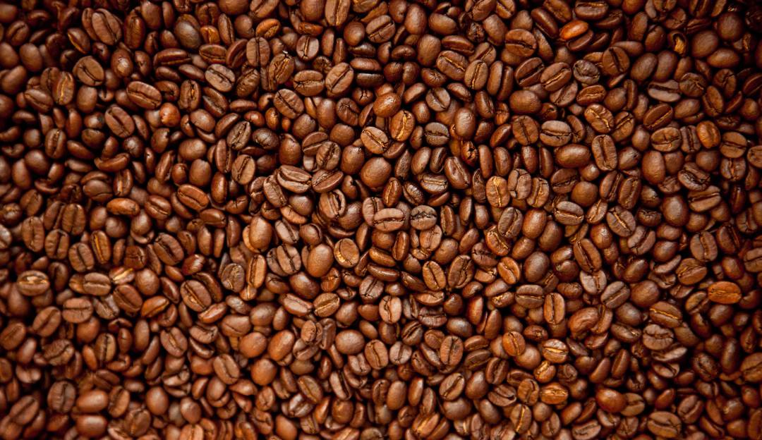 Marcas de café comprometidas con la sostenibilidad: Comprometidas con "la sostenibilidad" se encuentran grandes marcas de café