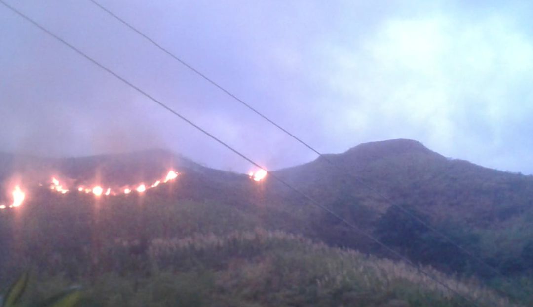 Incendio forestal amenaza casas campesinas en Pan de Azucar-Cauca