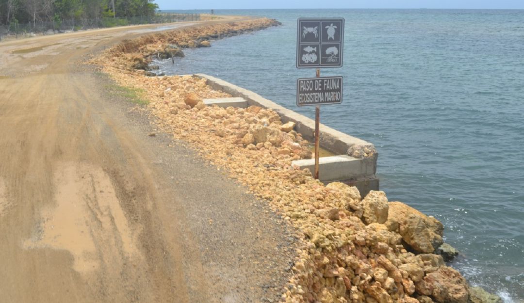 Protección costera Playetas: Erosión está acabado vía a Playetas, zona insular de Cartagena