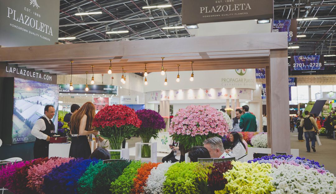 Exportación flores frescas: Colombia muestra al mundo sus flores en Proflora 2019