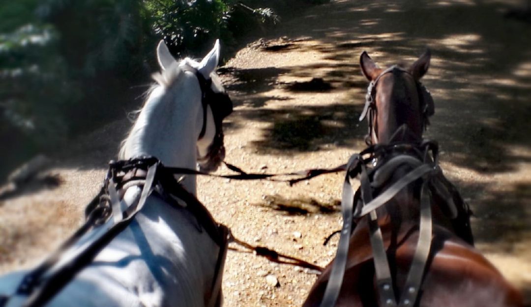 Cabalgata: Suspendido el desfile equino del 3 de octubre programado por Cabaquín