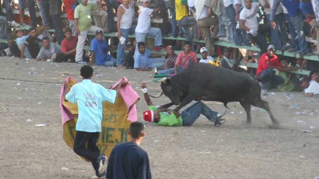 Más de 20 lesionados durante dos días de las corralejas de Sabanalarga