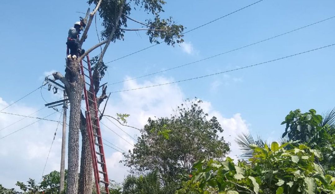 Suspensión del servicio Cartagena: Electricaribe realizó parada técnica en circuito Ternera de Cartagena